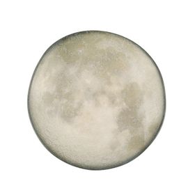 Porland Stoneware Selene 28 cm 6 Adet Makarna&Salata Tabağı
