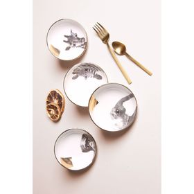 Porland Wild Life 10 cm 4'lü Kase Takımı