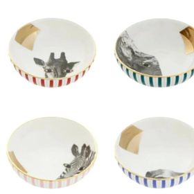 Porland Wild Life 4'lü 17 cm Kase Takım
