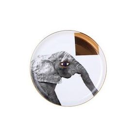 Porland Wild Life Elephant 20 cm 1 Adet Düz Tabak
