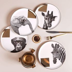 Porland Wild Life Karma Pasta Takımı