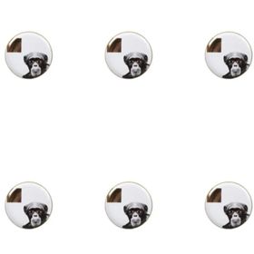 Porland Wild Life Monkey 20 cm 6'lı Düz Tabak