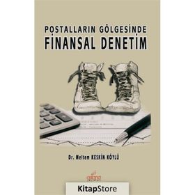 Postalların Gölgesinde Finansal Denetim - Meltem Keskin Köylü