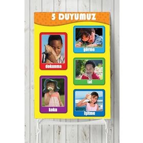 Postermanya 5 Duyu Organı Eğitim 40x60 cm Poster