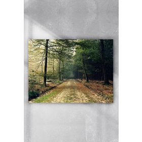 Postermanya Ağaçlı Yol Doğa Manzara 50x70 cm Poster