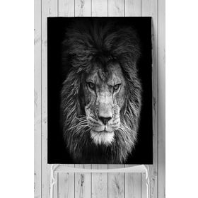 Postermanya Aslan Motivasyon 3 90x130 cm Poster