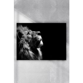 Postermanya Aslan Motivasyon 5 50x70 cm Poster