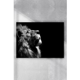 Postermanya Aslan Motivasyon 5 60x90 cm Poster