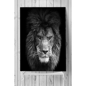Postermanya Aslan Motivasyon 5 70x100 cm Poster