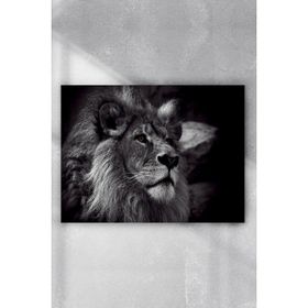 Postermanya Aslan Motivasyon 5 70x100 cm Poster