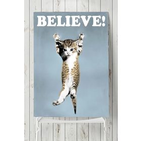 Postermanya Believe Cat Hayvan 90x130 cm Poster