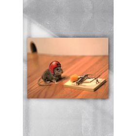 Postermanya Cesur Fare Eğlenceli Mizahi 70x100 cm Poster