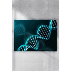 Postermanya Dna Bilimsel 70x100 cm Poster