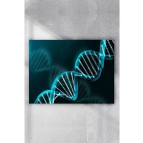 Postermanya Dna Bilimsel 70x100 cm Poster