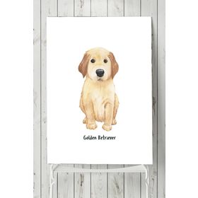 Postermanya Golden Retriever Çocuk Odası 30x40 cm Poster