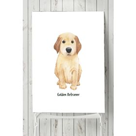 Postermanya Golden Retriever Çocuk Odası 30x40 cm Poster