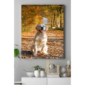 Postermanya Golden Retriever Çocuk Odası 40x60 cm Poster