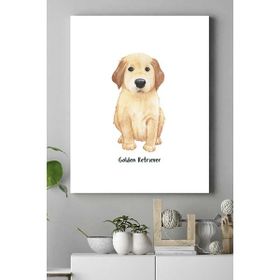 Postermanya Golden Retriever Hayvan 40x60 cm Poster