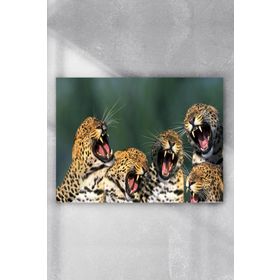 Postermanya Gülen Leoparlar Eğlenceli Mizahi 40x60 cm Poster