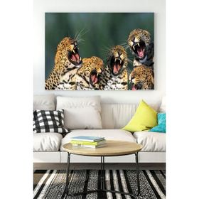 Postermanya Gülen Leoparlar Eğlenceli Mizahi 40x60 cm Poster