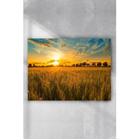 Postermanya Günbatımı Manzara 40x60 cm Poster