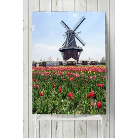 Postermanya Hollanda Manzara 50x70 cm Poster