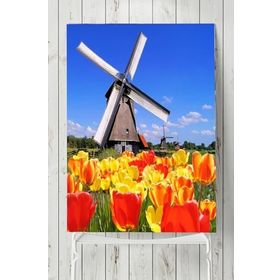 Postermanya Hollanda Manzara 50x70 cm Poster