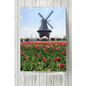 Postermanya Hollanda Manzara 70x100 cm Poster