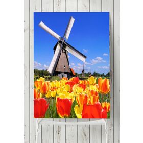 Postermanya Hollanda Manzara 70x100 cm Poster