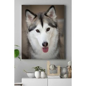 Postermanya Husky Hayvan 40x60 cm Poster
