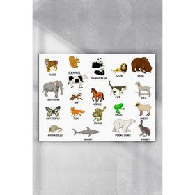 Postermanya Ingilizce Hayvanlar Eğitim 30x40 cm Poster