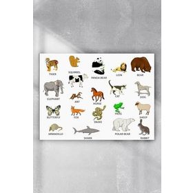 Postermanya Ingilizce Hayvanlar Eğitim 30x40 cm Poster