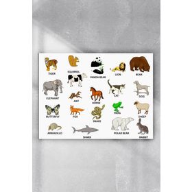 Postermanya Ingilizce Hayvanlar Eğitim 40x60 cm Poster