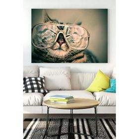 Postermanya Kedi Eğlenceli Mizahi 40x60 cm Poster