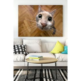 Postermanya Kedi Eğlenceli Mizahi 40x60 cm Poster