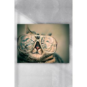 Postermanya Kedi Eğlenceli Mizahi 80x115 cm Poster