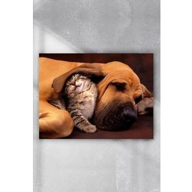 Postermanya Kedi Ve Köpek Eğlenceli Mizahi 80x115 cm Poster