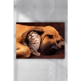 Postermanya Kedi Ve Köpek Eğlenceli Mizahi 90x130 cm Poster