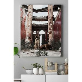 Postermanya Köpek Hayvan 2 30x40 cm Poster