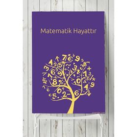 Postermanya Matematik Hayattır Eğitim 30x40 cm Poster