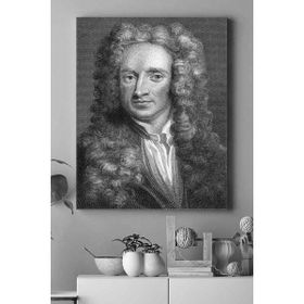 Postermanya Newton Bilimsel 2 40x60 cm Poster