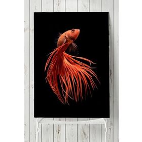Postermanya Sanatsal Balık Hayvan 3 60x90 cm Poster