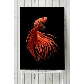 Postermanya Sanatsal Balık Hayvan 3 80x115 cm Poster
