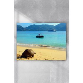 Postermanya Seyşeller Manzara 3 40x60 cm Poster