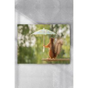 Postermanya Sincap Eğlenceli Mizahi 80x115 cm Poster