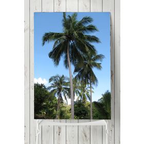 Postermanya Tayland Manzara 50x70 cm Poster