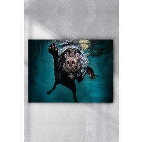 Postermanya Yüzen Köpek Eğlenceli Mizahi 40x60 cm Poster