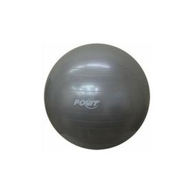 Povit Gri 75 cm Pilates Topu