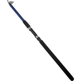 Powerex Sapphire 300 cm 50-100 gr Teleskopik Kamış