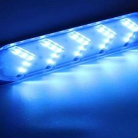 Powermaster 14339-2835 12V 3.6W Mavi Flaşlı Yanıp Sönen Modül Led